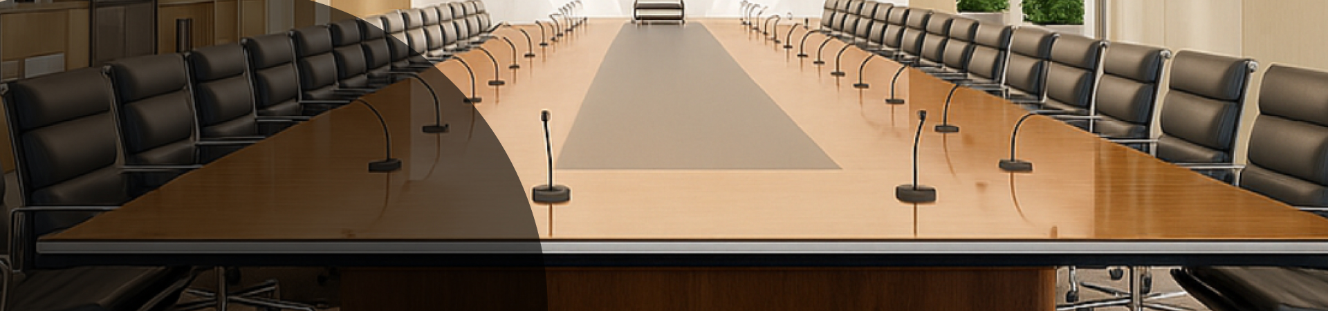 <b>Executive </b><br> Search